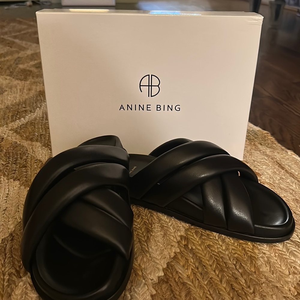 Anine Bing Lizzy slides